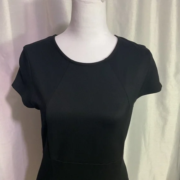 Felicity & Coco Ward Seamed Pencil Dress
( Worn Once ) - Picture 4 of 14